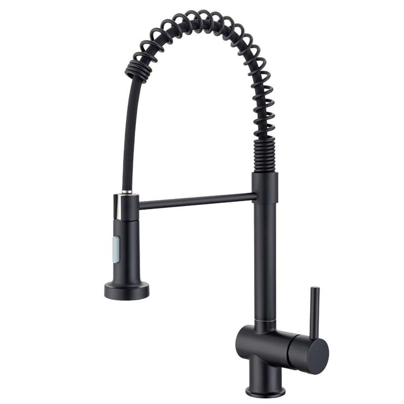 TLXT Kitchen Spring Faucet