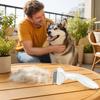 Köpek – Köpek bakım ürünleri