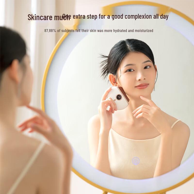 Electric Bian Stone Gua Sha Facial Massager CN Plug (adapter Included)