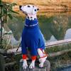 Winter Dog Coats Greyhound Thick Ollie Fleece Stretch Quad Suit Autumn Keep Warm Dog Clothes Puppy Four Legged Clothes Products