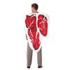 Steak Cosplay Costume, Adult