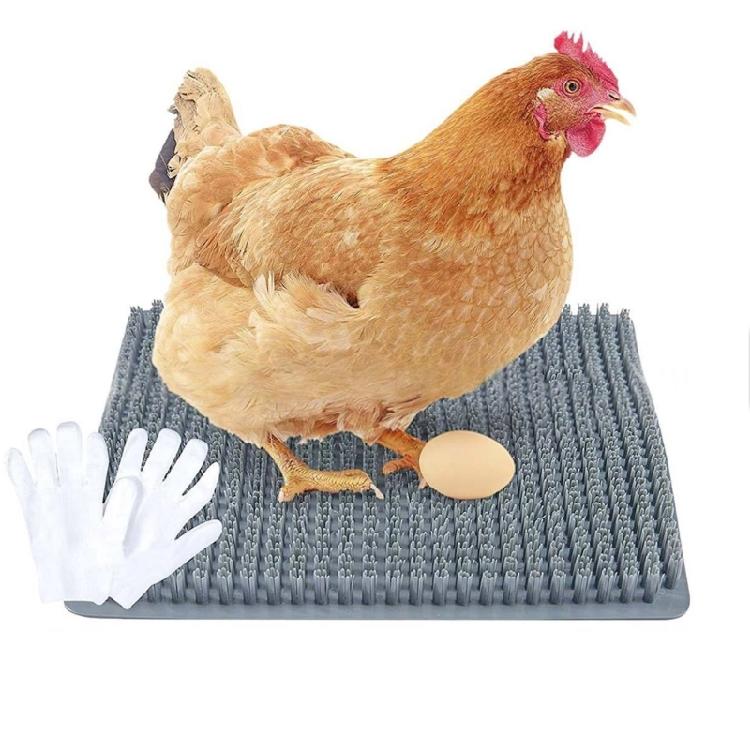 Eggs Laying Pad for Chicken Pack of 6 Plastic Nesting Mats Washable Reusable Poultry Backyard Nesting Essentail
