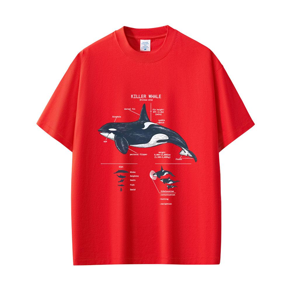 Marine Animals Killer Whale Anatomy Graphic Tshirt Mens Womens Casual Funny T Shirts Tops Unisex Fashion Oversized Streetwear