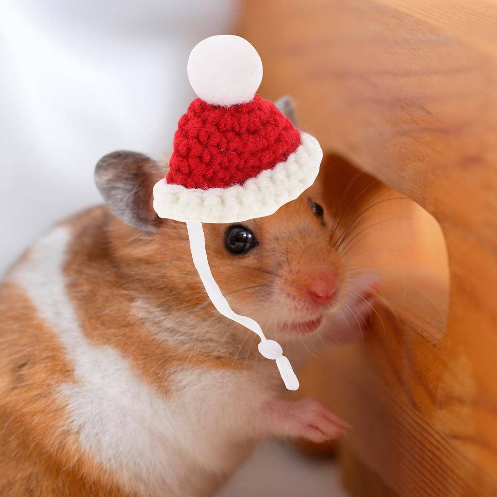 Decorative Chinchilla Hat Adorable Pet Costume Accessory for Small Pets Reptiles Cosplay Hamster Knitted Hat Pet Cosplay Costume