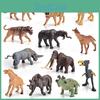 12 Piece Miniature Forest Animal Model Collection Realistic Prehistoric Toys For Kids