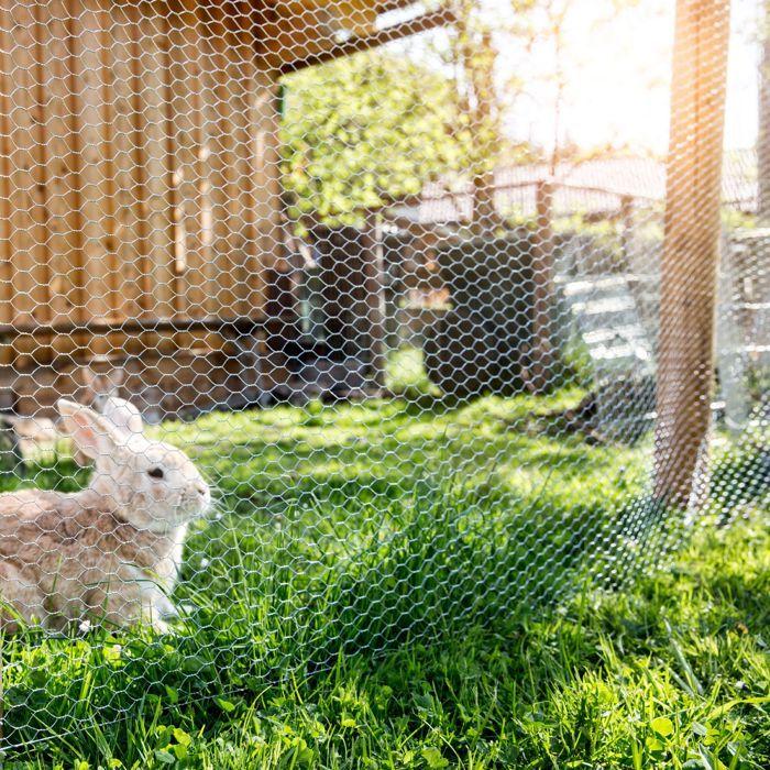 Galvanized Iron Mesh 0.50x5m Square 12.7mm Windhager