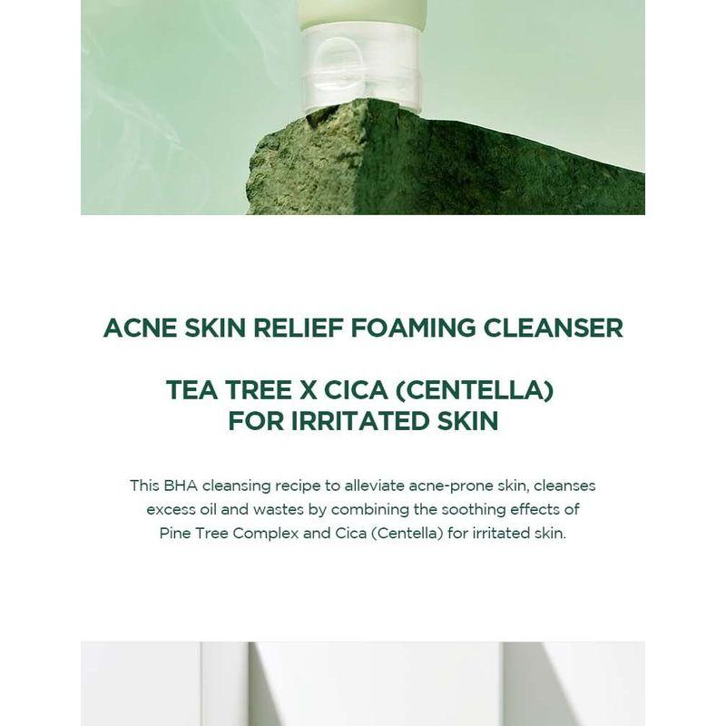 SKIN 1004 - Madagascar Centella Tea-trica BHA Foam