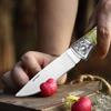 Fruit Pocket Knife Stainless Steel Folding Knife for Kitchen Cooking Chef Knife Portable Utility Knife Keychain Butcher Knife