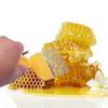 Bee Stainless Steel Honey Forks Beekeeping Tools 18 Pin Straight Needles Uncapping Forks handle HoneyHoney wax cleaning tools