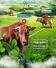 4G GPS Solar Tracker for Cattle and Sheep: Remote Mountain Grazing Locator