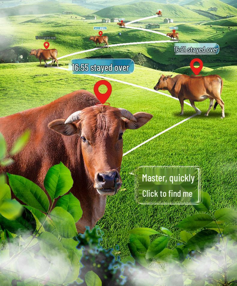 4G GPS Solar Tracker for Cattle and Sheep: Remote Mountain Grazing Locator