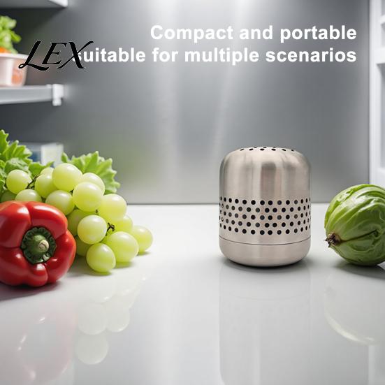 Portable Shoe Cabinet Deodorizer Stainless Steel Refrigerator Deodorizer, Long-Lasting Odor Eliminator, Nano-Catalytic Wardrobe Air Freshener Removal