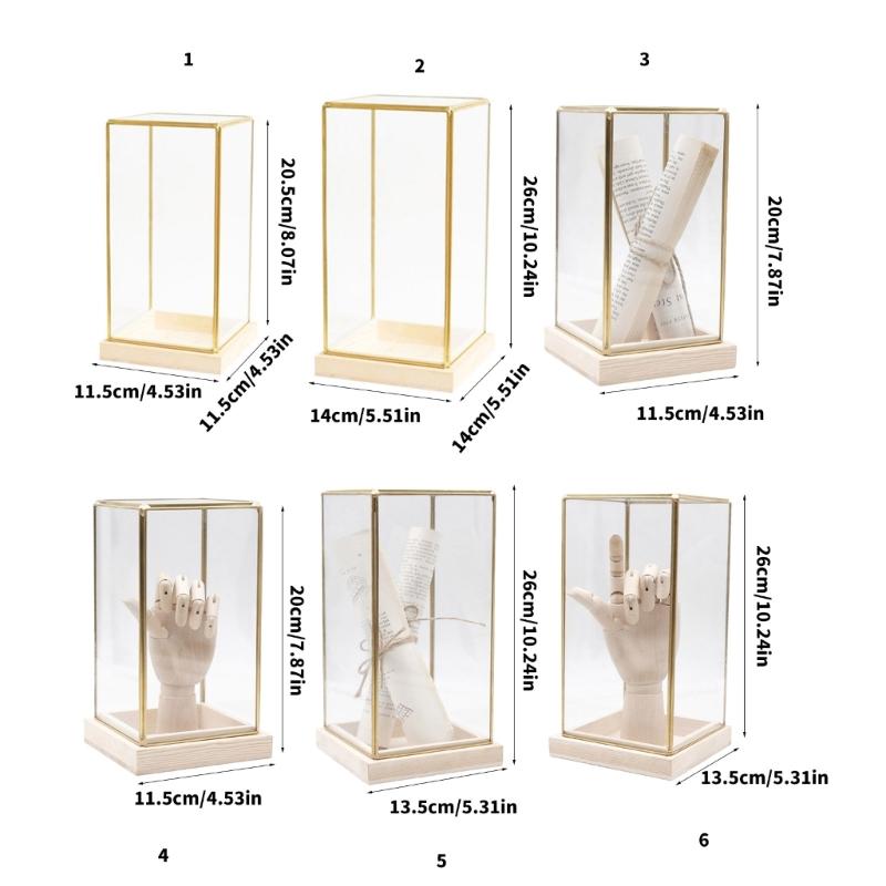 Samlarobjekt Glasmonter Monter för Samlarobjekt Displaylåda Dekorativt Hantverk för Hem och Kontor