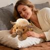 45CM Kawaii Weighted Highland Bull Pillow Plush Toy Soft Stuffed Cow Soft Dolls Animal Toys For Children Pillow Birthday Gifts