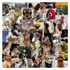 50 STUKS Schattige Realistische Puppy Stickers voor Planners, Waterflessen en Laptops - Waterdichte Decoratie Stickers