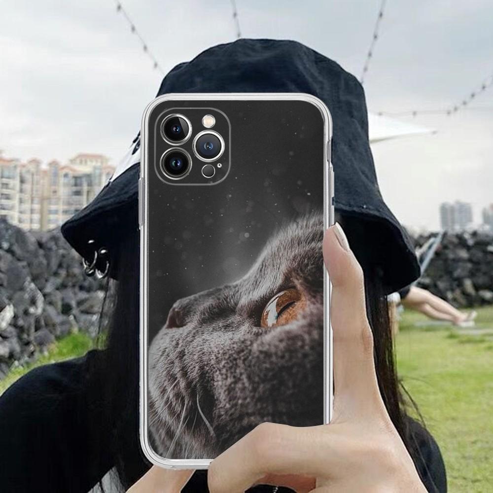 

Чехол для телефона с изображением британской короткошерстной кошки для iPhone 15 14 13 12 11 Pro Max XS X XR SE 2020 6 7 8 Plus Mini Защитный чехол iPhone 14pro max