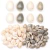 50g 11x16mm Natürliche Muschelperlen Mit Loch Für Schmuckherstellung DIY Bastelarbeiten Halskette Armbänder Mini-Anhänger Telefon Schlüsselanhänger Zubehör