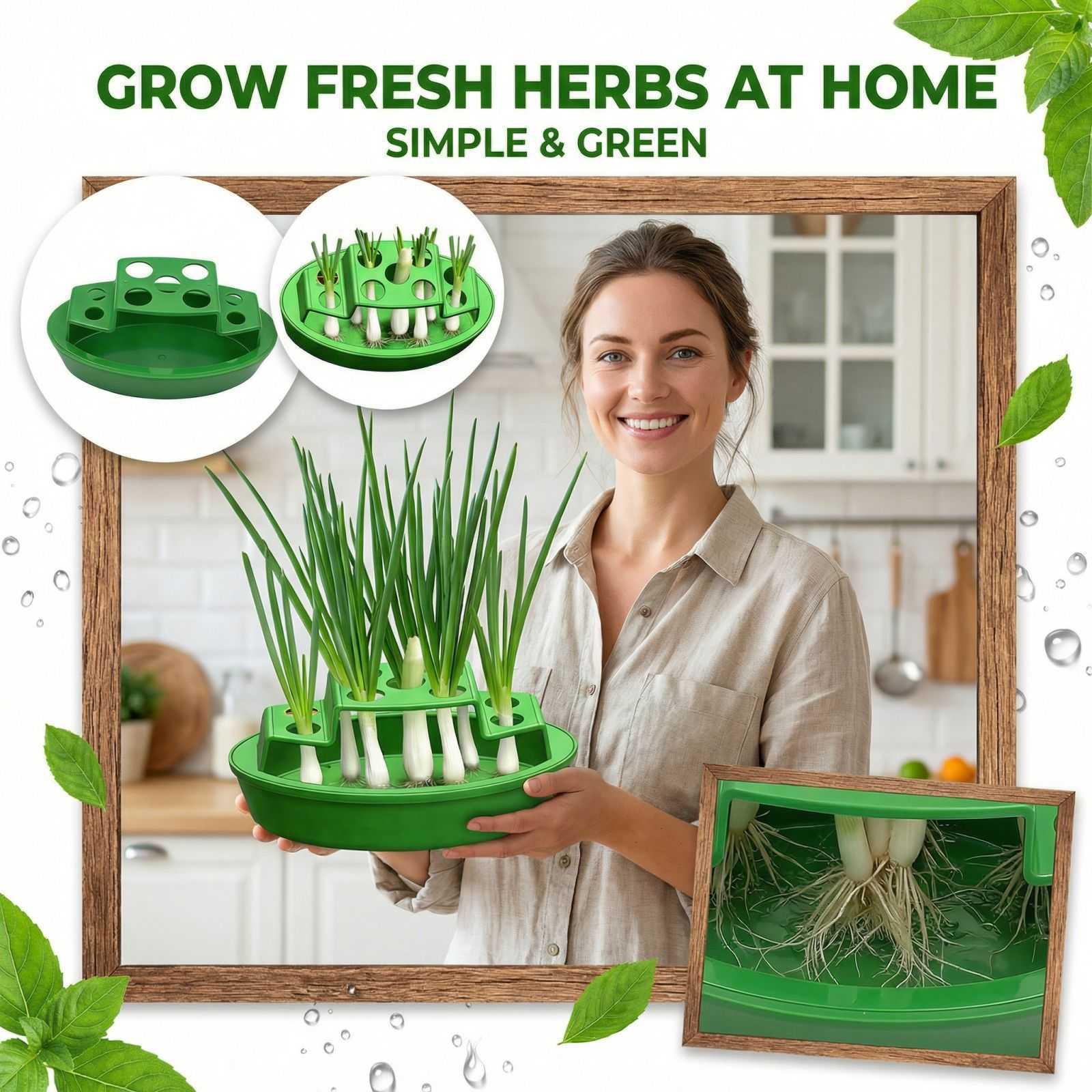 

2 Generation Scallion Hydroponic Planter, No Soil, Recycle Regeneration, At Home, Automatic Water Chive Box One Size зелёный