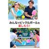 IWANO Pickleball Racket Set with Storage Bag and Paddles [IWANO PLAY]