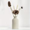 Minimalist Ceramics Vase Ceramic Flower Vase Home Decoration Flower Arrangement On The Living Room Desktop Ornament Accessories