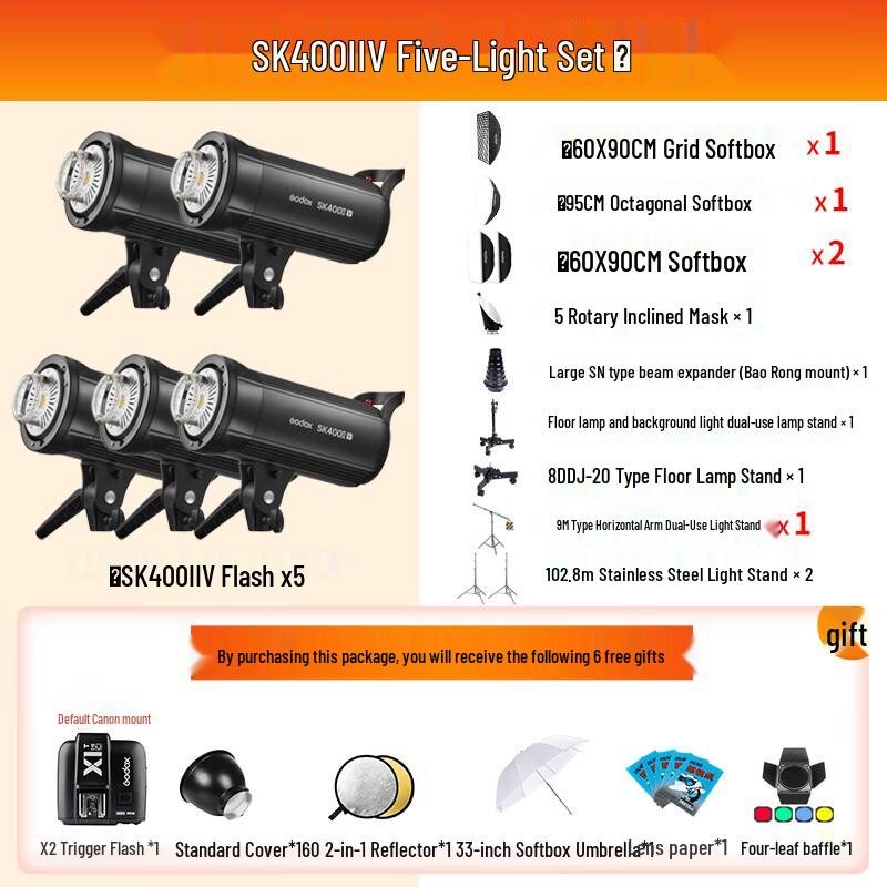 Godox SK400IIV Studio Flash Kit