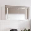 Vidaxl Wall-Mounted Kitchen Cabinet With Sliding Doors, Stainless Steel