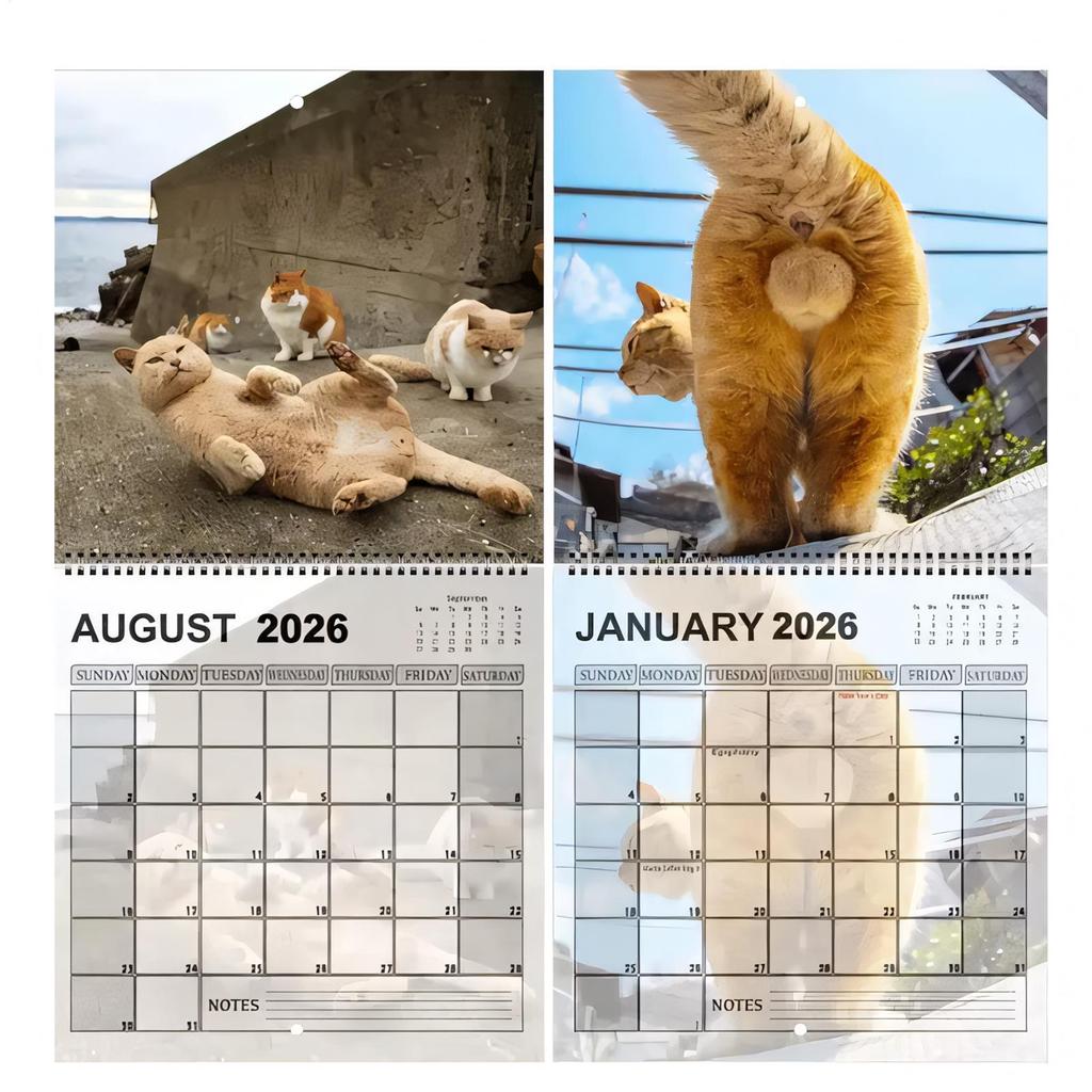2026 Cat Calendar Funny Cats Butt Illustration Hilarious Gag Gift 12 Monthly Agenda Planner Organizer Office