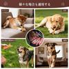 KrauzPet Dog Chew Toy 2-Pack for Medium Dogs, Durable Deer-Shaped Smoked Beef Flavor Dental Chew Toy, Teeth Cleaning, Boredom Relief