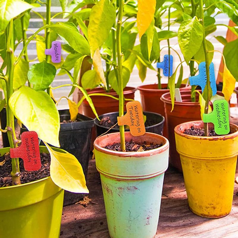 Cable Labels Tags 20 Pcs  Self Adhesive Cable Labels Colorful Waterproof Cord Labels Tags Reusable Wire Organizer for Home