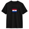 Paraguay Flag T Shirt Summer Trending TShirts Unisex Cotton O Neck Oversized Tees ShortSleeved Vintage Tshirt