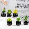 Indoor Decorative Artificial Succulent Plants: Small Potted Ornaments for Living Room and Dining Table
