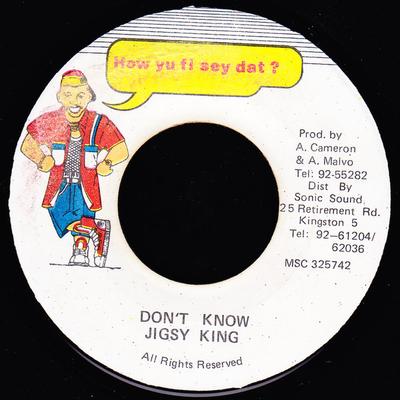 7inch Record JIGSY KING  Dont Know MSC325742 How Yu Fi Sey D 1993 Jamaica Reggae Ska  Dub Used