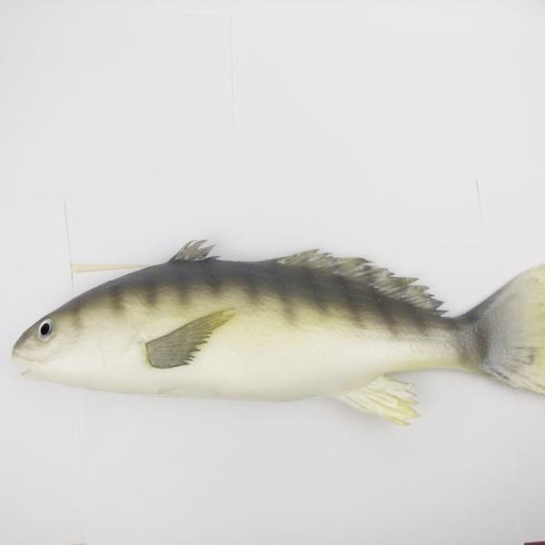 Artificial Vegetable Set: Eggplant, Cabbage, Cucumber, Celery, Spinach - Kitchen Decoration