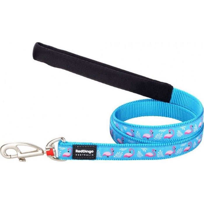 Laisse pour Chien - RED DINGO - Flamant Rose Turquoise - 20 mm x 1,2 m - Nylon Résistant - Taille M