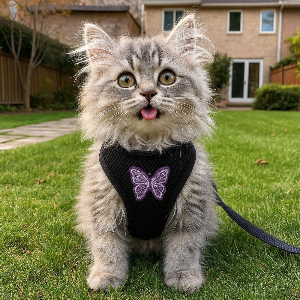 Soft Dog Chest Strap Adjustable Dog Traction Rope Collar Practical Dog Chest Vest  Daily Walk