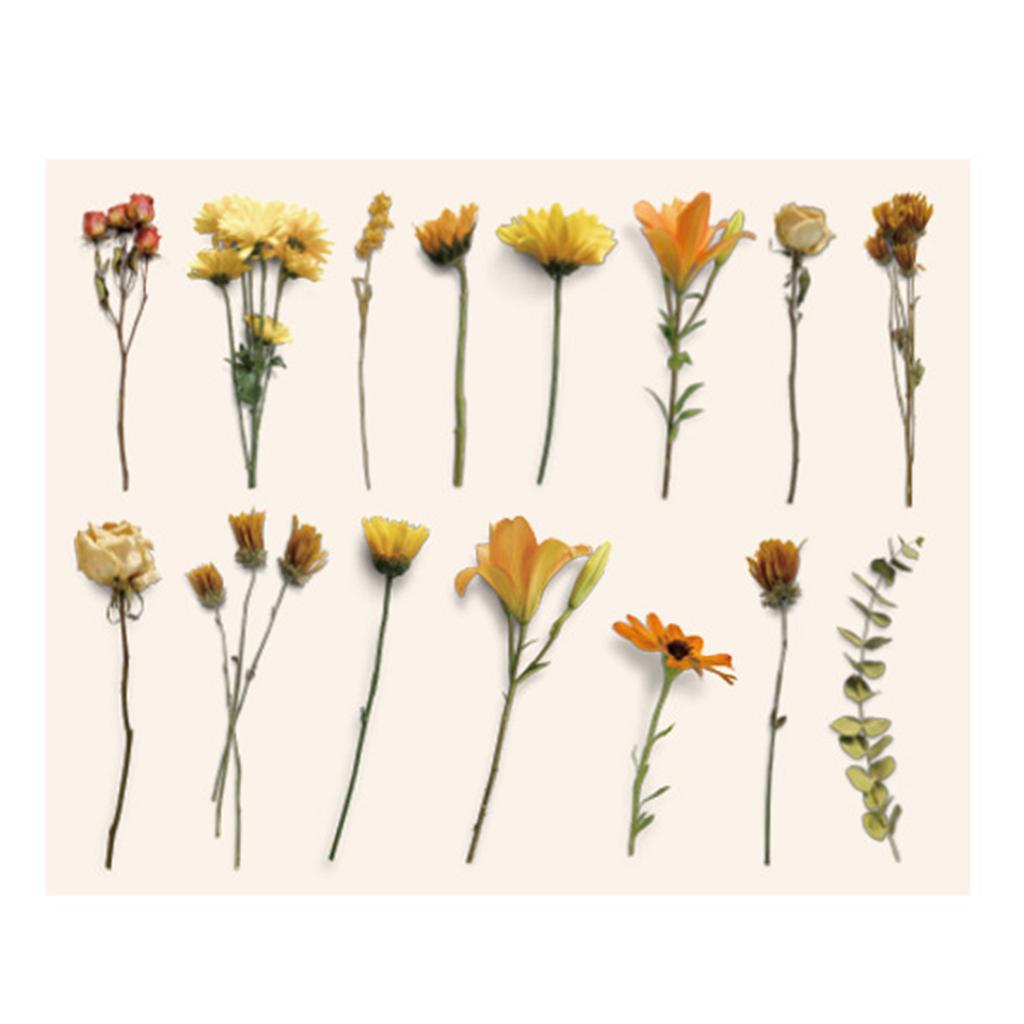 30Pcs Vintage Plants Flowers Leaves Stickers Vintage Retro Flower Plant Stickers Decals for Laptop