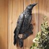 Realistic Black Crow Wall Sculpture Resin Perched Bird Ornament For Outdoor Garden Fence And Indoor Wall Decoration