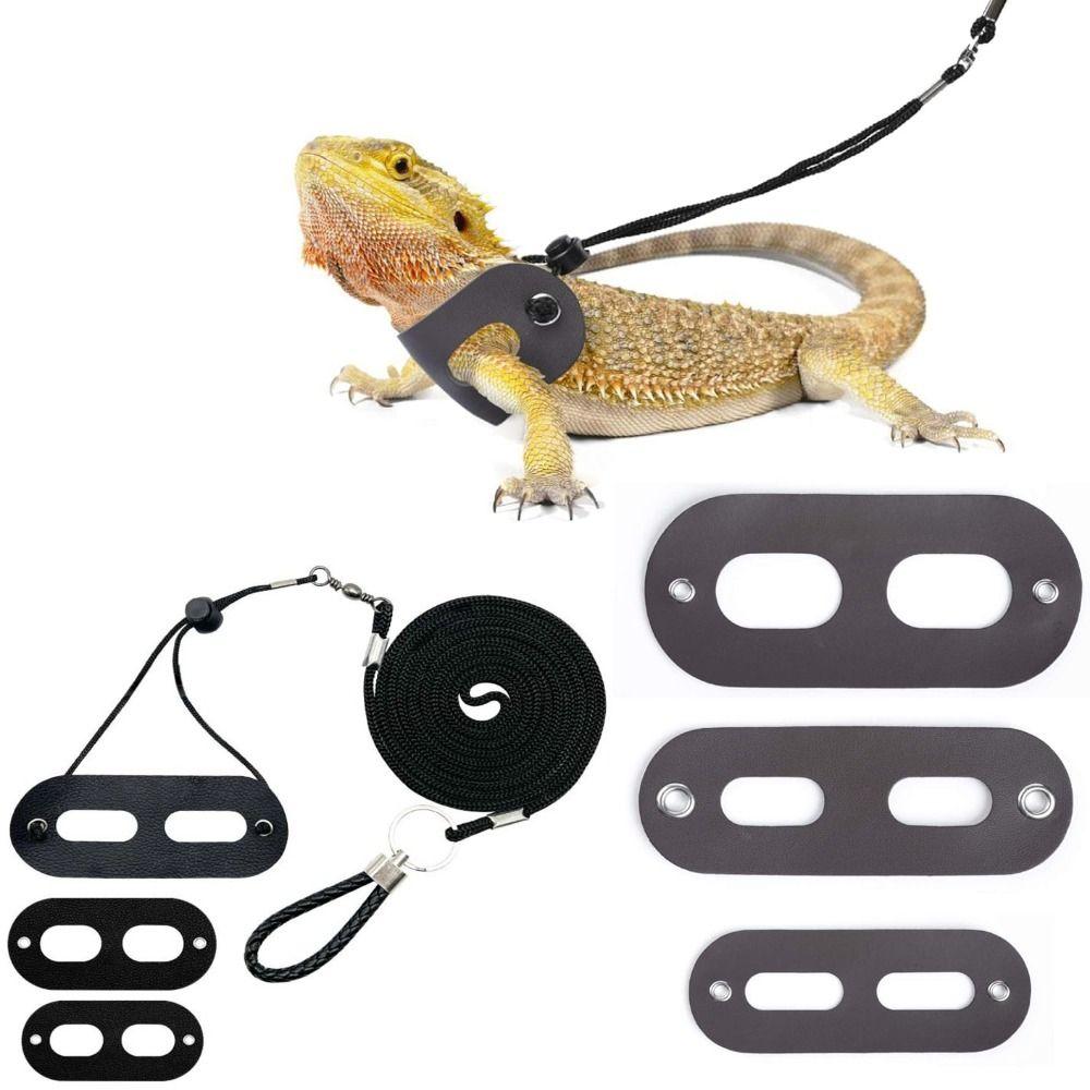 3 Pack Adjustable Bearded Dragon Leash Harness Set Escape-Proof Lizard Leash  Small Animal Pets