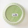PLANTAREE-SHINOGI- 130-Pack Small Bowls, Green