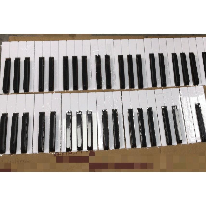 

Piano Accessory Set: 88 Glossy White & Matte Black Leather Keys Set of 36 Black Keys