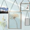 MagiDeal Industrial Style Double Sided Glass Hanging Photo Frame Wall Frame Flower Plant Specimen Portrait Display Frame Holder