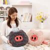 Funny Big Nose Pig Plush Toys Round Pig With Detachable Nose Pillow Cartoon Pink Gray Piggy Doll Birthday Gifts Room Decoration
