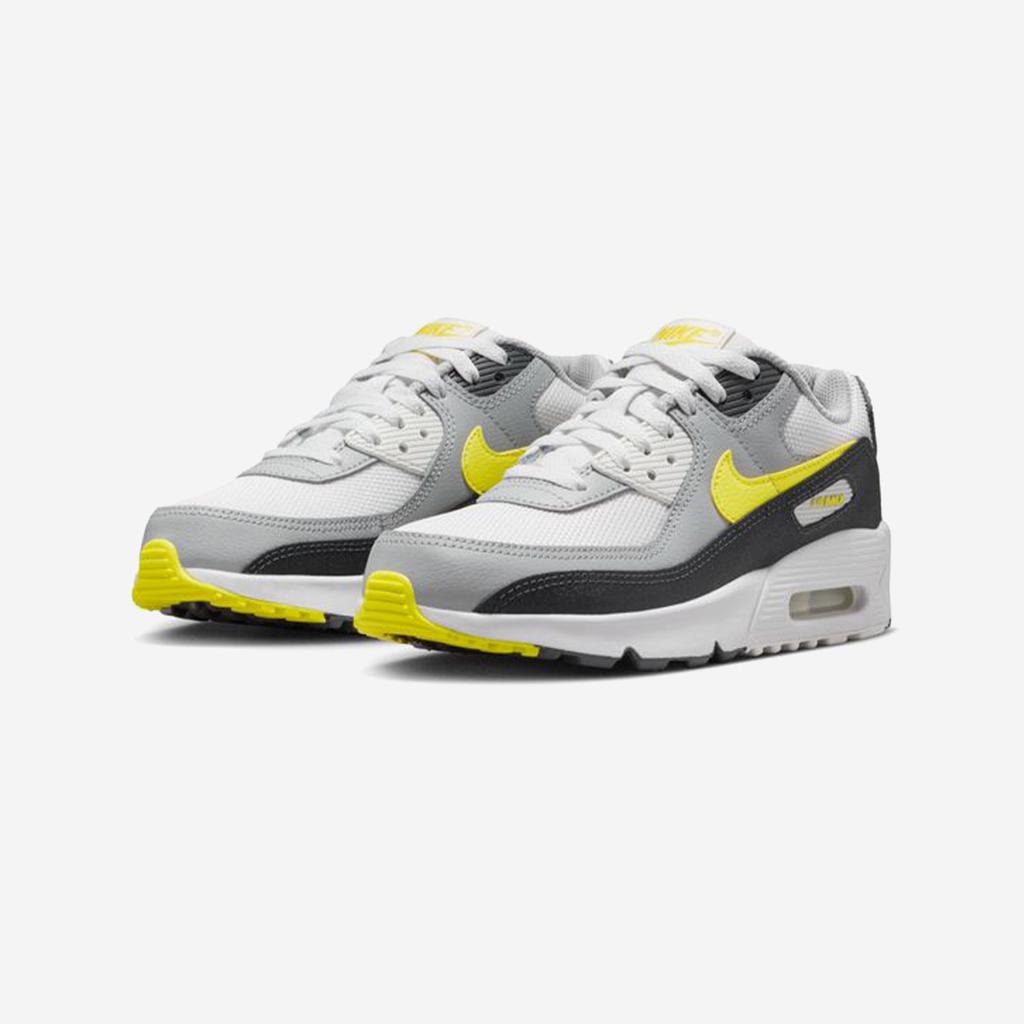 Nike Air Max 90 Mesh Grade School [IQ0098-100]