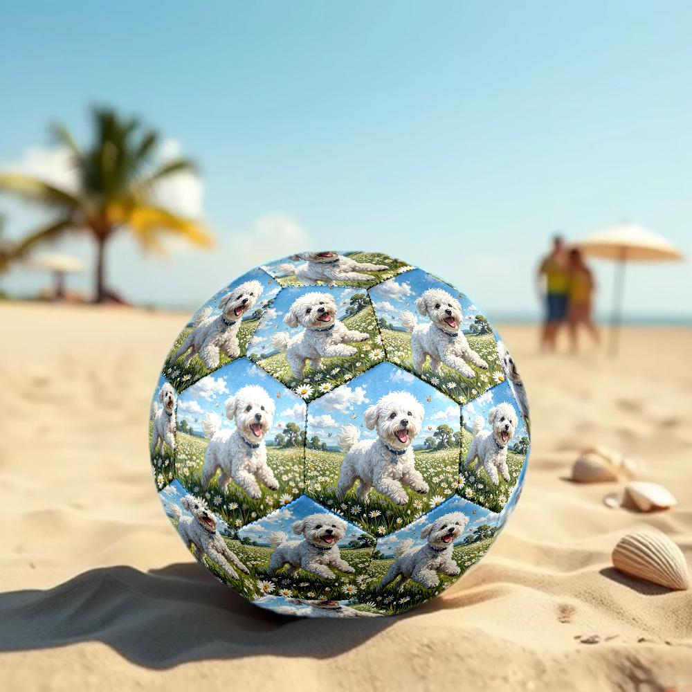 1pc Daisy Field Pup Theme Soccer Ball Football, Size 5, Lightweight PVC, Durable Outdoor Training Soccer Ball, Gift M61485