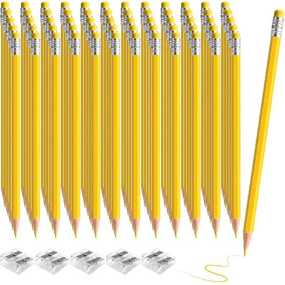 60 PCS Lightblue Colored Pencils, Pre-sharpened Professional Wooden Art Pencils Set for Artists Painting | Premium Drawing Sketching Supplies