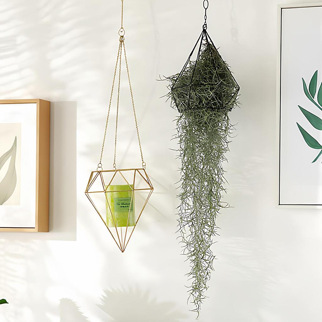 Nordic Geometric Iron Wall Hanging Flower Stand