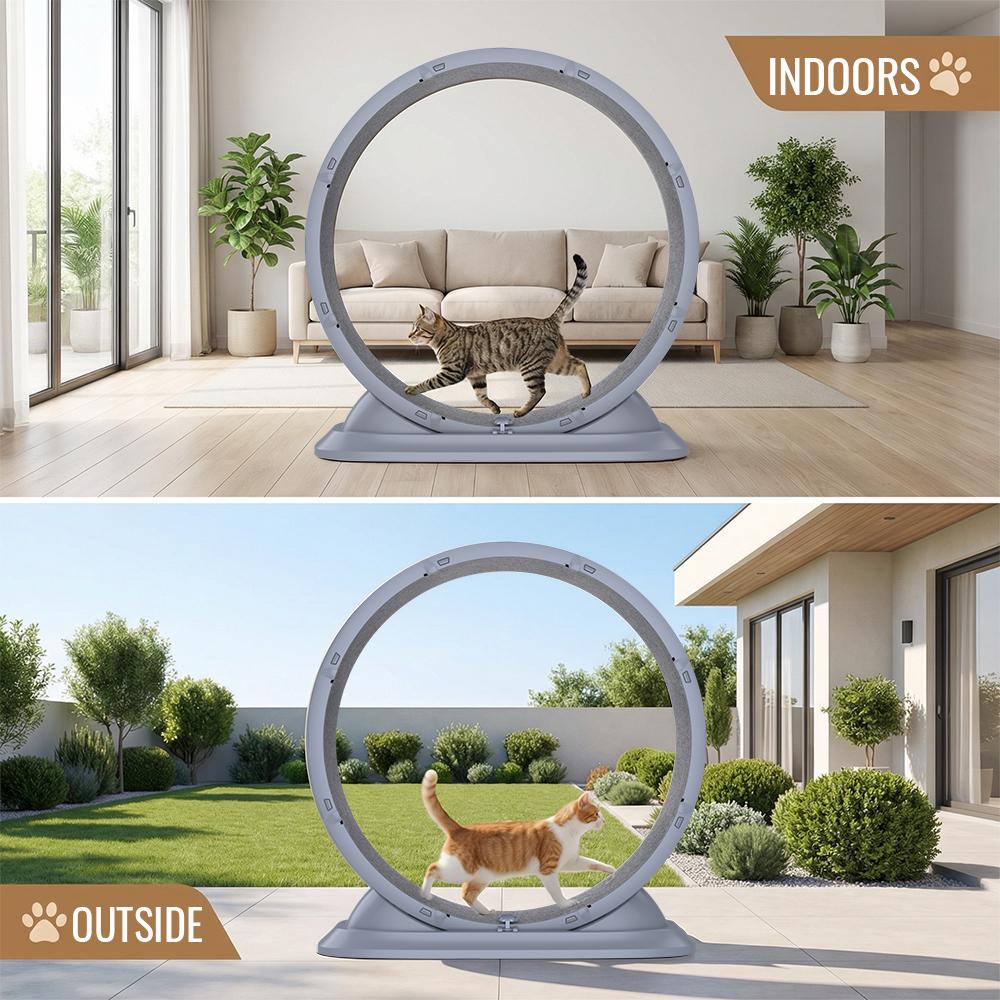 Roue d'exercice pour chat Roue de tapis de course pour animal de compagnie Jouet d'escalade pour chat Tapis de course silencieux avec tapis amovible pour intérieur/extérieur Fourniture pour animaux de compagnie