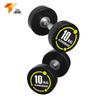 Rubber Coated Steel Dumbbell Set