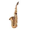Mini Bb Soprano Saxophone Sax Brass Material Gold Laquer Surface Woodwind Instrument with Carry Case Gloves Cleaning