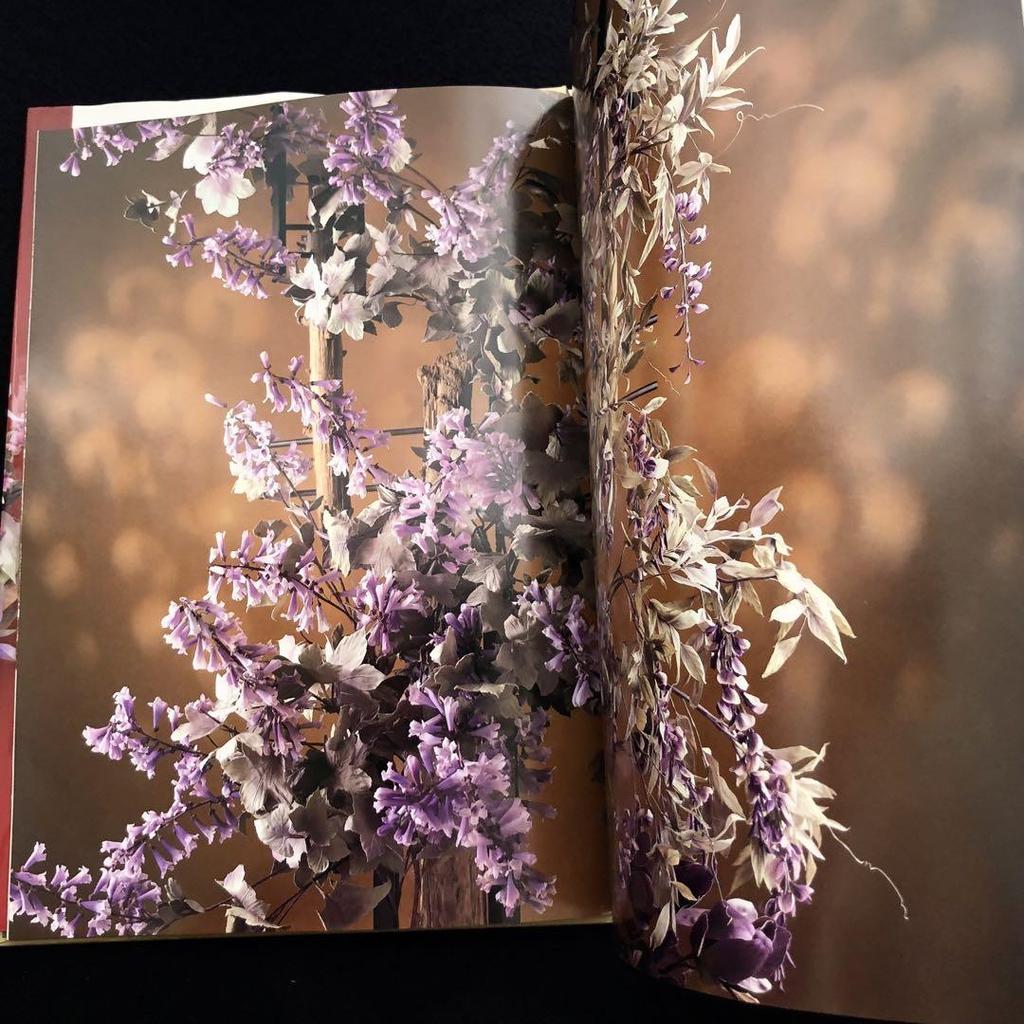 [USED] Signed Sayako Yasuda's collection of works "Somebana - Manyo no Hanaba Hundred Tastes" with actual large-sized paper